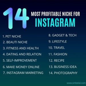 best niches for Instagram business