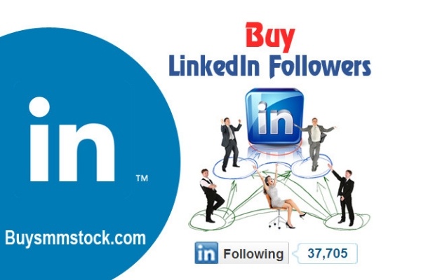 Buy Followers Guide - Marketing Tools for Linkedin